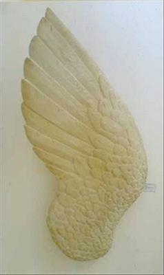 Angel's Wing