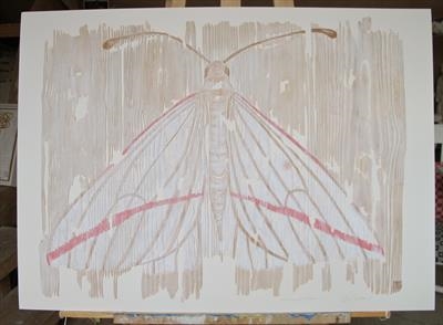 Vanishing Vestal / White Moth wth pink stripe