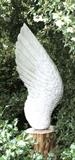 ASngel's Wing by Jilly Sutton RSS, Sculpture, Stone-cast from wood carving
