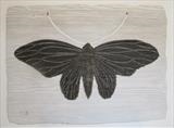 Black Moth by Jilly Sutton ARBS, Sculpture, Wood and Pigment