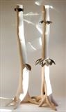 Elm Tree Project/ Daphne and Aplollo by Jilly Sutton, Sculpture