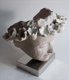 Sea Flower Head by Jilly Sutton, Sculpture, Cast Olivestone or bronze