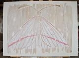 Vanishing Vestal / White Moth wth pink stripe by Jilly Sutton, Painting, Painted Relief