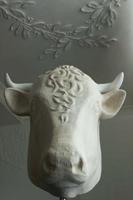'Bull'