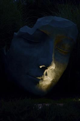 The Fallen Deodar