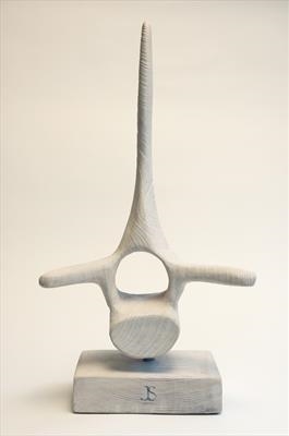 'Whale Vertebra]