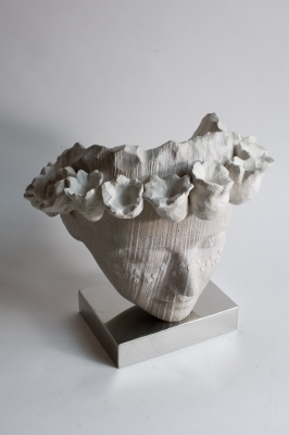 Sea Flower Head by Jilly Sutton - Sculpture  Original Wood Carving